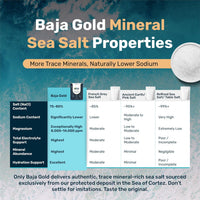 Baja Gold Signature Mineral Sea Salt – Natural Grain Crystals