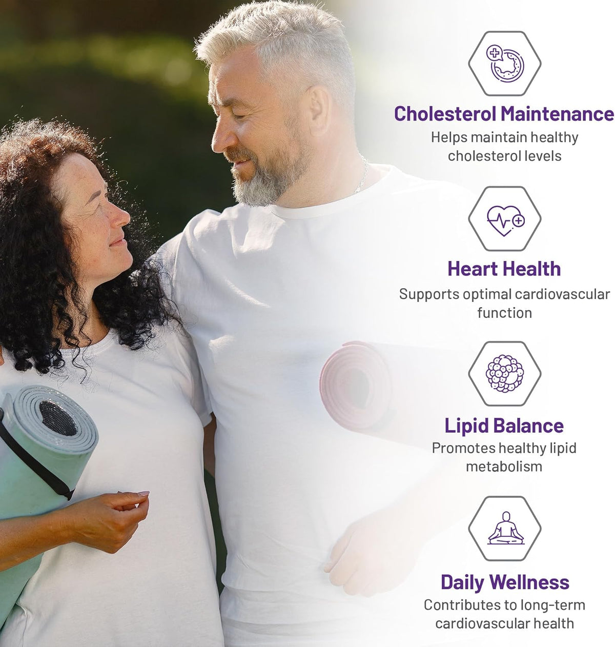Supplement facts panel for AOR Cholesterol Control. The medicinal ingredient is also listed in the table below.